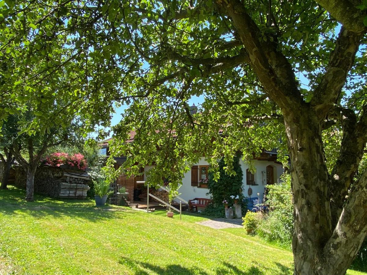 Haus Wiesengrund Frauenau Exteriör bild