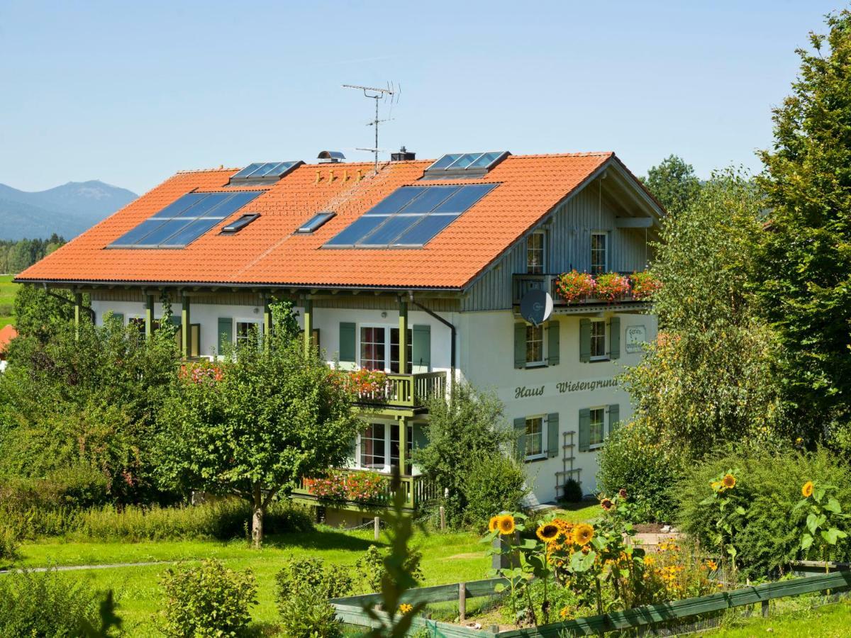 Haus Wiesengrund Frauenau Exteriör bild